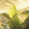 Breathe Pure with Goodman Air Filters and UV Light Installation for Advanced Filtration and Long-Term HVAC Protection